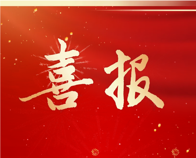 喜讯丨热烈祝贺！江苏大信董事长荣获殊荣